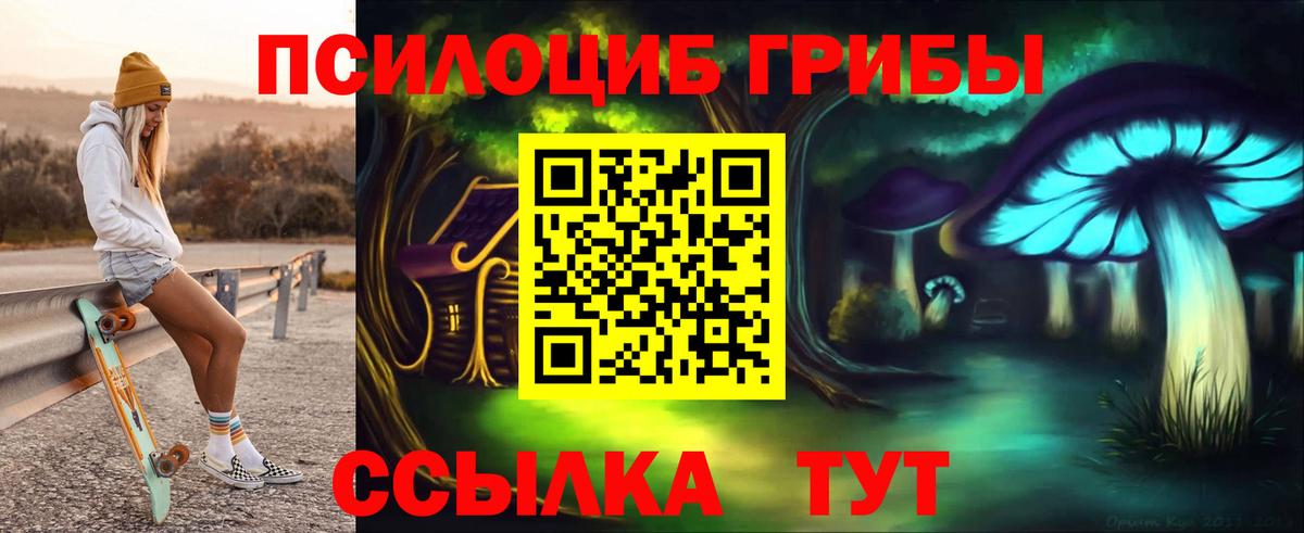 Мариинск  наркота  Вход с VPN  Галлюциногенные грибы Psilocybine cubensis 